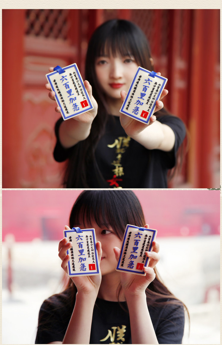 故宮 錦衣衛 六百里加急行李牌卡套兩用1入 露天拍賣