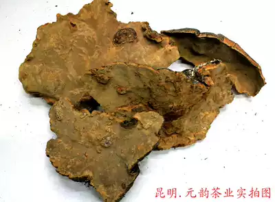 Yunnan wild Ganoderma lucidum pine needle pine needle spp.