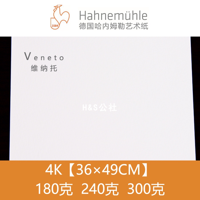 Germany Hahnemühle Vernet 180240 300g Colored Pencil Paper Watercolor Paper Printmaking Paper 4K Size Germany Hahnemühle Vernet 180240 300g Colored Pencil Paper Watercolor Paper Printmaking Paper 4K Size