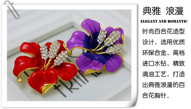 Broche femme en Zircon diamant - Ref 1178087 Image 11