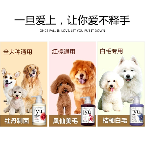 Yu Oriental Mori Dog Dog купается от Bybinum и защитная купание Shiba inu bi kuki product