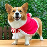Одежда для домашних собак осень и зимние рождественские новогодние аксессуары маленькие и средние собаки, Шерина Корки Шиба Ину, сеть красная одежда