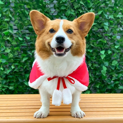 Одежда для домашних собак осень и зимние рождественские новогодние аксессуары маленькие и средние собаки, Шерина Корки Шиба Ину, сеть красная одежда