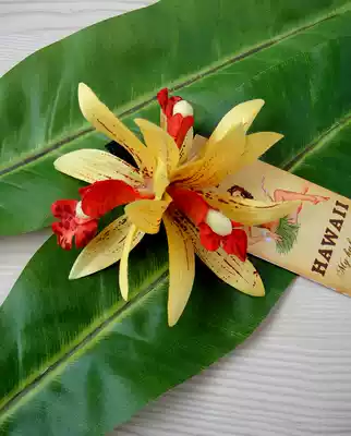 Hawaiian hula accessories Head flower props Headdress Seaside beach Hair Accessories Hair Accessories