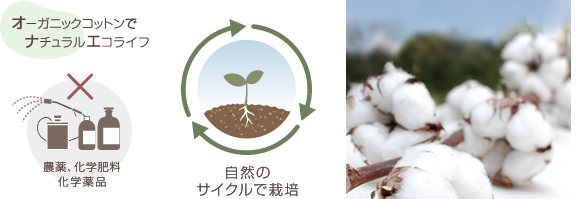 Peignoir - Ref 598859 Image 8