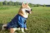 Nhãn hiệu trang phục chó thủy thủ mùa thu mới áo khoác bóng chày chó Shiba Inu Keji Husky quần áo chó - Quần áo & phụ kiện thú cưng