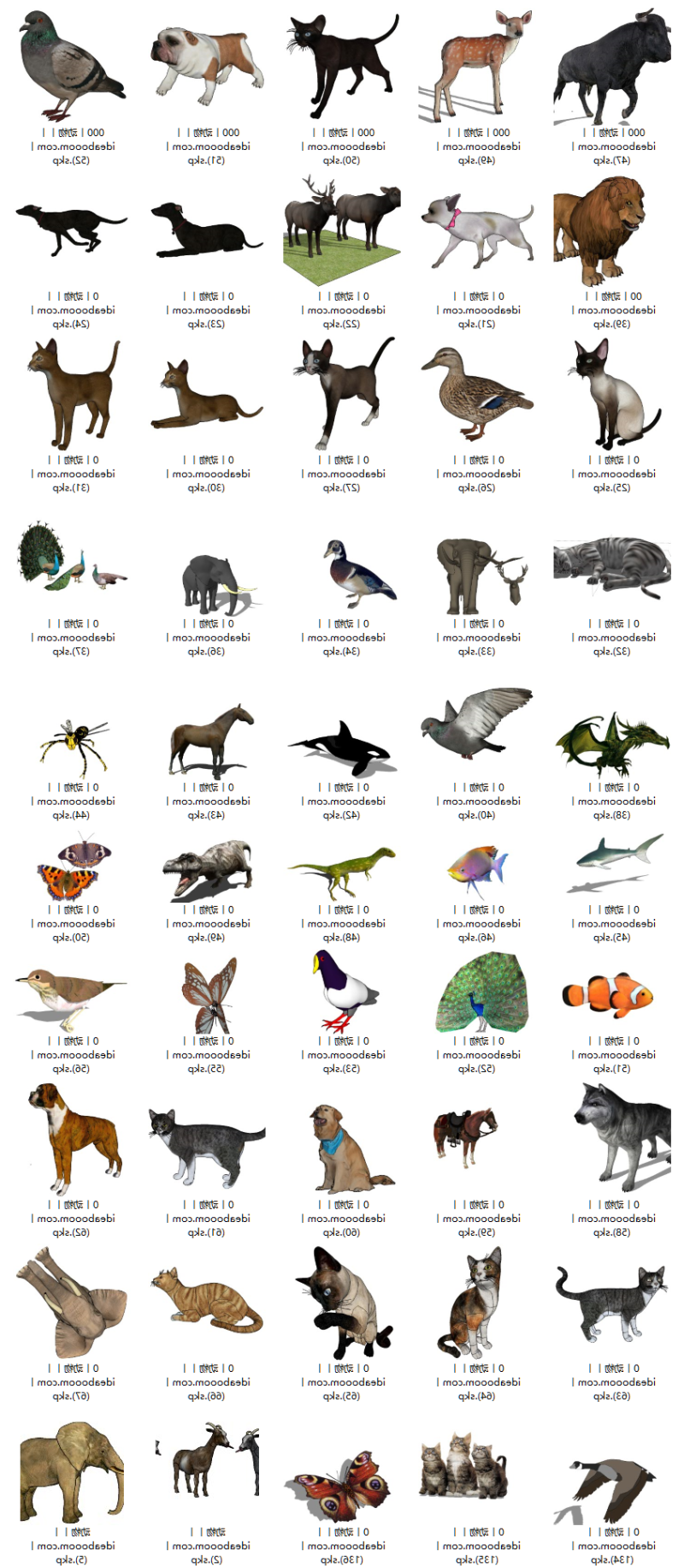 动物合集丨蜘蛛河马兔子狮子猩猩长颈鹿动物su模型丨