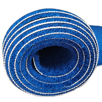 Spot Blue Thickened Carpet Wushu Dance Studio Dance Studio Sound Insulation Fire Retardant Flame Retardant Full Spread of abrasion resistance