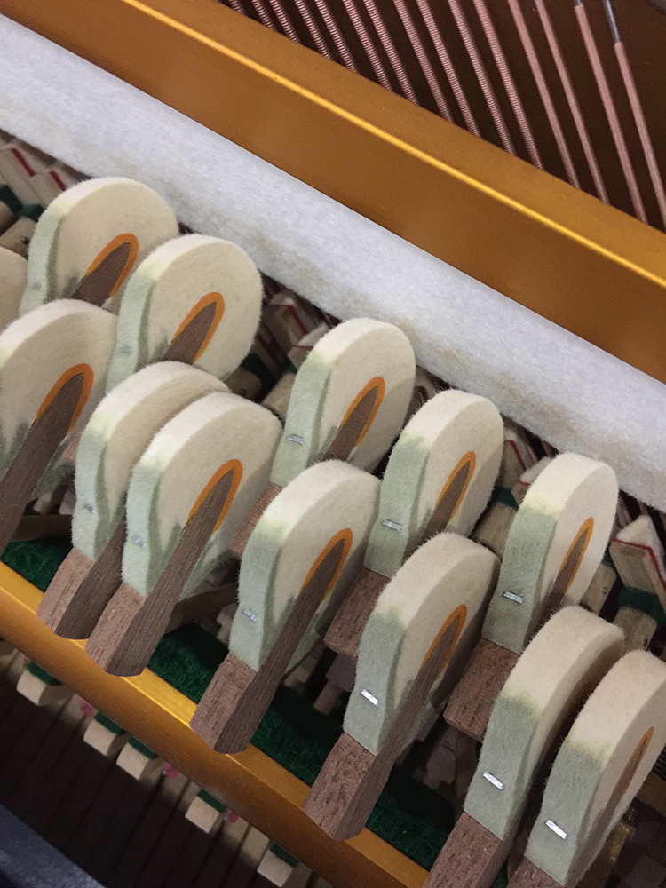 Đàn piano thời trung cổ Nhật Bản APOLLO Apollo SR85B dọc nhà màu đen chuyên nghiệp chơi phòng hòa nhạc - dương cầm 	giá 1 chiếc đàn piano	