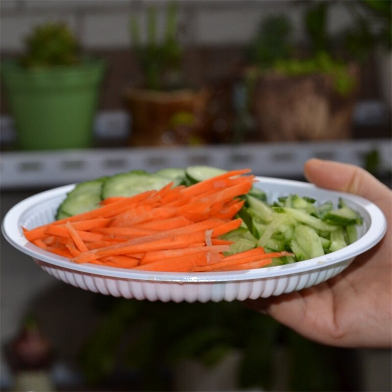 Thickened high temperature plastic disposable plate transparent fruit plate can be microwaved food grade can be loaded with hot dishes 10 pieces