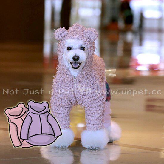 Bao Dependents Pet Dog Dog Cute Bear Hat-Shirt Long Sleeve Jacket Double Down Thickened Warm Winter Clothes Teddy Bibi Bear-Taobao