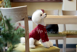 Baojuan Spring Pet Clothing Teddy Red Dog Coat Doll Round Neck Double Breasted Long Sleeve Wool Coat