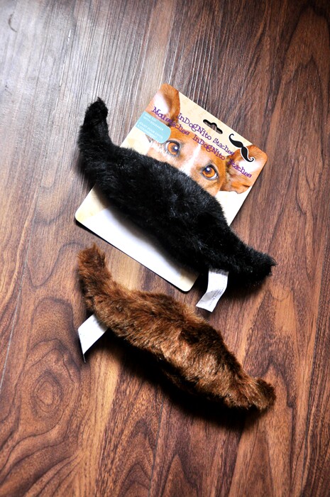 Special seconds kill off single ultra funny teething dog vocal pet plush toy 0317