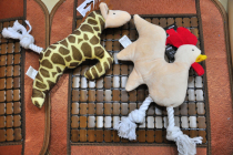 Beautiful single feedback Free flying giraffe and big cock knot dog vocal pet plush toy