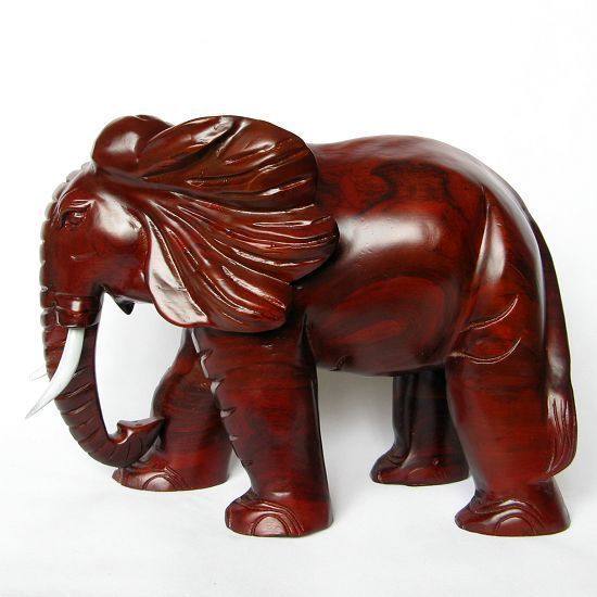 ����ի��ľ����ڼ�