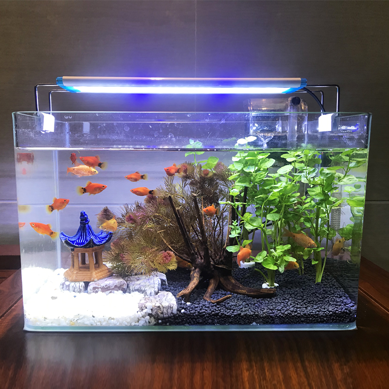 Real Water Grass Fish Tank Aquarium Small Desktop Ecological