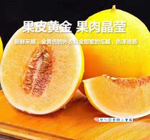 Minqin Honeydew melon Jinhong Treasure Desert Melon Gansu Yellow River specialty fresh fruit