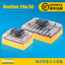 Brinsea Ovation2856 Cradle Type Full Digital Fully Automatic Egg Incubator Stability Strong Capacity