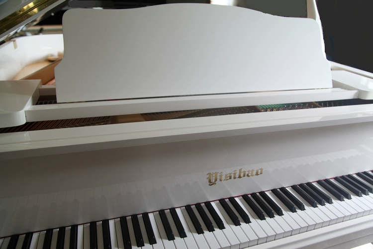 Phong cách thanh lịch 231 grand piano ngang piano! Nhà máy sản xuất đàn piano mười năm tuổi là đáng tin cậy piano dien