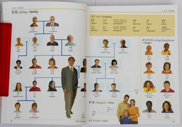 英文原版中英双语图解字典 Chinese-English V