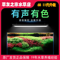 Nitli 6 series second generation headlight panel intelligent voice 6s RGB full spectrum LED fish tank aquatic lamp professional lamp panel