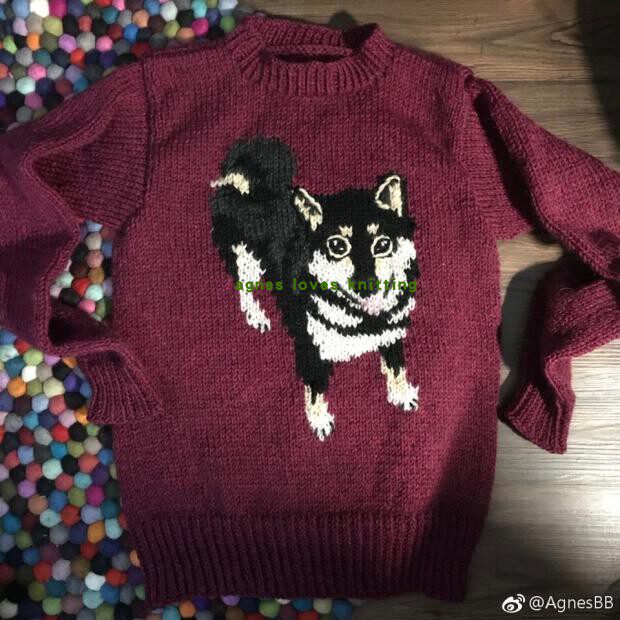 Fully hand knitted cute Shiba Inu sweater