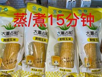 Dadongzhanhe vacuum yellow glutinous corn independent packaging room temperature storage single 240g 20