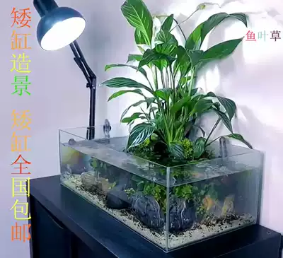 Table lamp classic American shaking aquarium light micro landscape Lamp Plant filling light aquarium lamp fish cylinder lamp Moss lamp night light