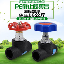 PE lift stop valve ball valve 20 4 minute 25 6 points 32 1 inch tap water pipe material pipe fittings