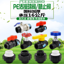 HDPE double live access full plastic steel core ball valve stop valve full plastic live copper ball valve water pipe fittings joint
