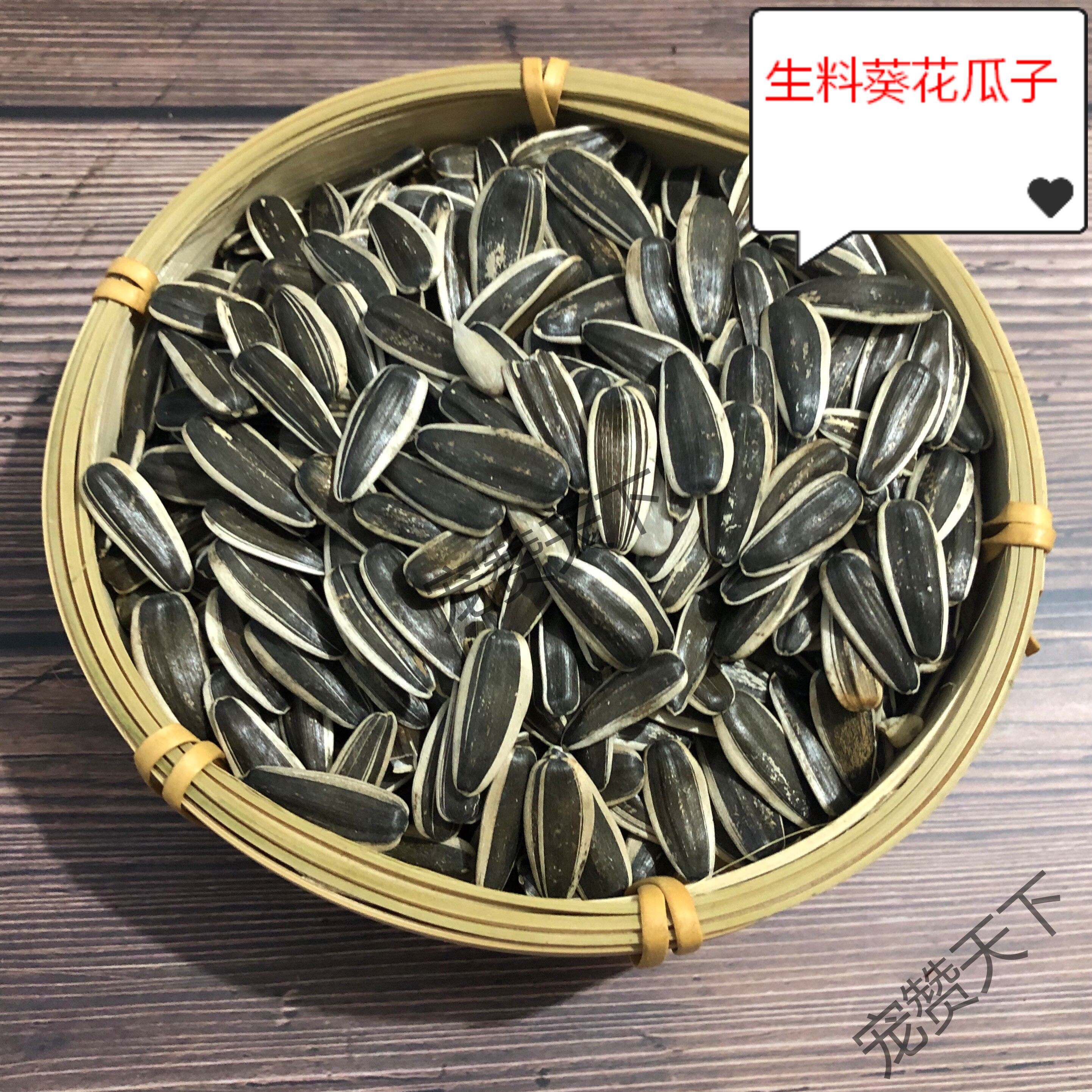 Squirrel flying squirrel hamster black-tailed marmot eats grain food feed raw large melon seeds sunflower seeds raw nuts