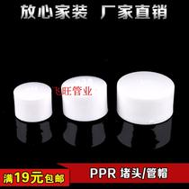  PPR plug cap Hot melt pipe plug cap 20 25 32 40 50 63 4 points 6 points PPR water pipe fittings accessories