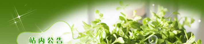 Corset - Ref 676847 Image 6