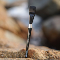 Black Swan Watercolor Pen 3008S 3009S 3014S 3025S Watercolor Pen Special Price Link