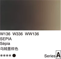 Темно -зеленый класс A W336