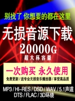 2023 Не -Другтивная музыкальная музыка скачать пакет High Sound Sound Source Free Song Intercept Mp3mp4 Vibrato Popular DJ