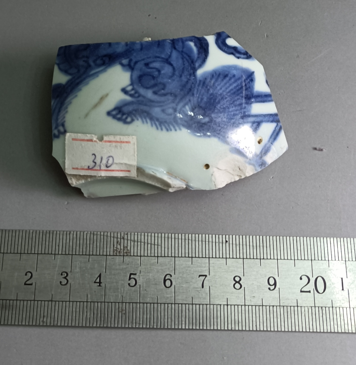 310 Kangxi lion claw pattern porcelain specimen