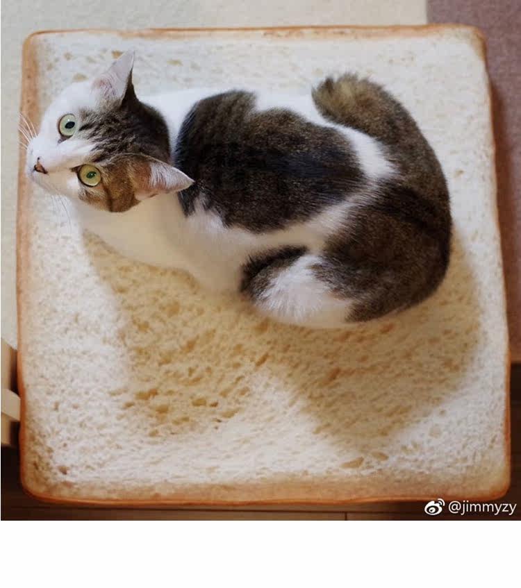 Peluche manga jardin Cat - Ref 2697763 Image 8