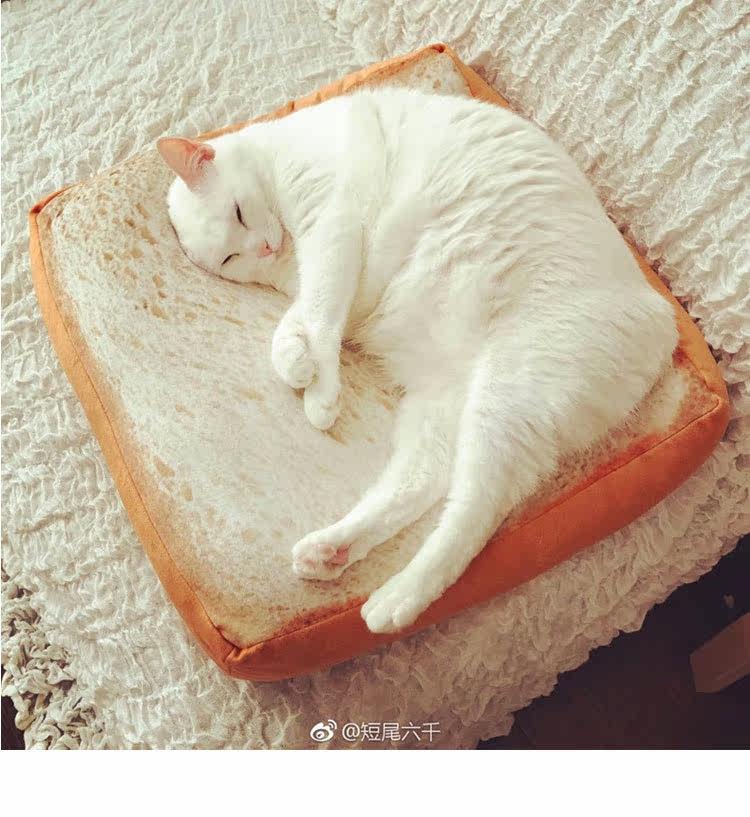 Peluche manga jardin Cat - Ref 2697763 Image 7