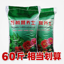 Universal nutraceutical native species of flowers and flowers planted with soil Multi-meat turquoes for planting native 40 kilos