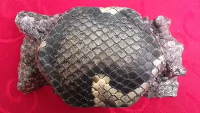 New product recommended erhu accessories high quality erhu special Mang skin high quality and low price