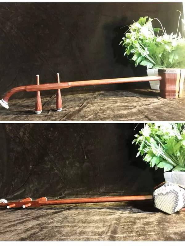 Tô Châu Changyi erhu nhạc cụ toàn năng redwood erhu người mới bắt đầu kiểm tra đàn nhị phụ kiện giao hàng thuần túy - Nhạc cụ dân tộc