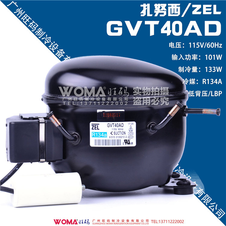 Original zel Zanussi GVT40AD export type 115V 60Hz voltage R134A refrigerator compressor