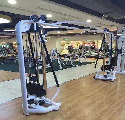 Big Bird Gantry Gym Commercial Multifunctional Strength Integrated Trainer Combined Fitness Equipment Home