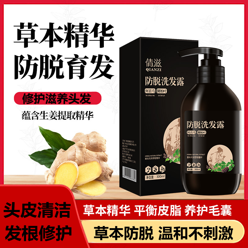 Herbal ginger anti-hair loss shampoo oil control anti-dandruff anti-dandruff solid hair Polygonum multiflorum shampoo white to black strong hair roots