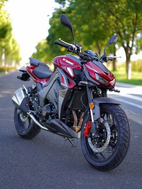 N19 Street Bike Jiajue Big Snake Motorcycle Jiaolong Sports Car Kawasaki Z1000 Imitation Racing Dual-Cylinder Water-Cooled Engine