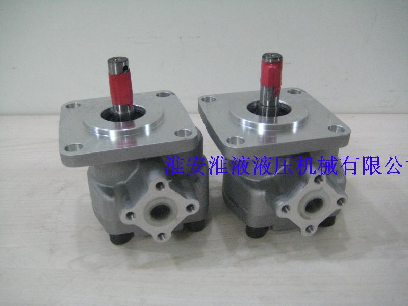 RGP-2A-F04 06 08 10R 11R 12R Gear pump