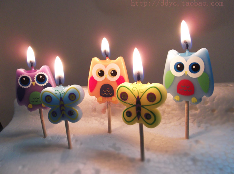 Bougie - Ref 2494105 Image 35