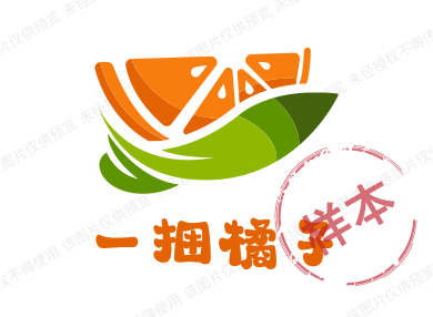 一捆橘子