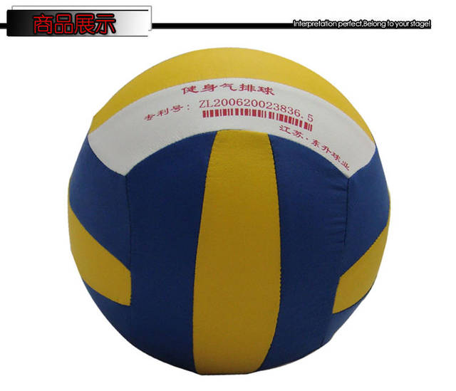 Ballon de volley - Ref 2008015 Image 6